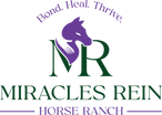 Miracles Rein