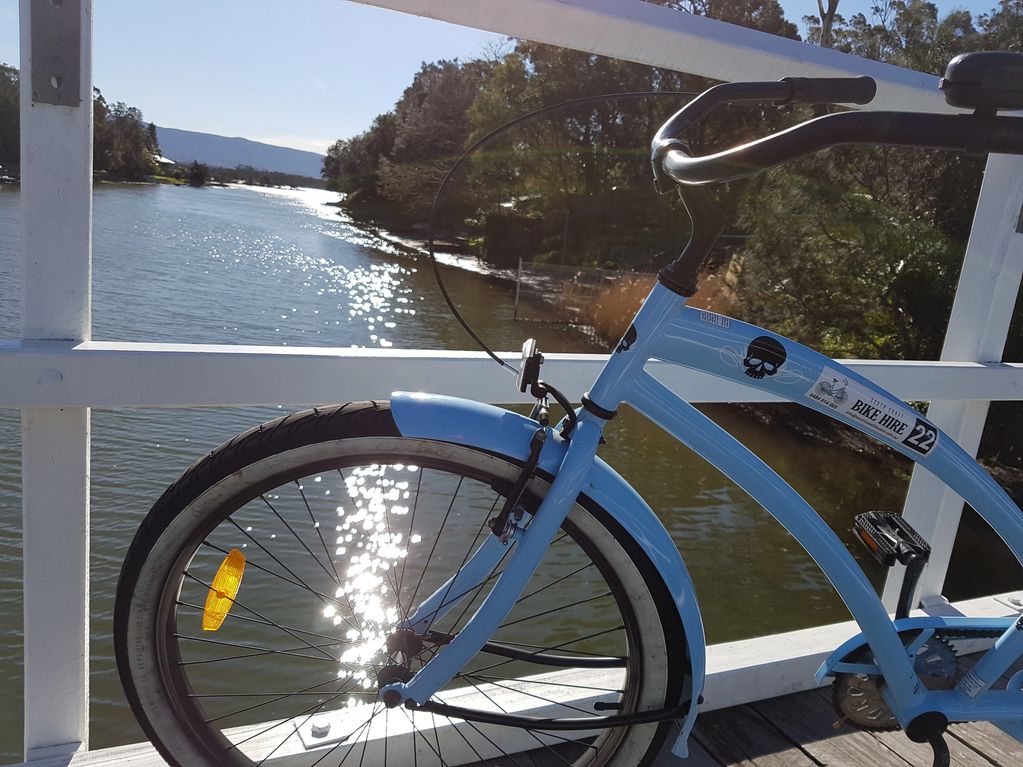 Single speed beach cruisers