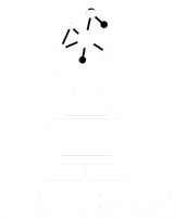 


robuster.ai