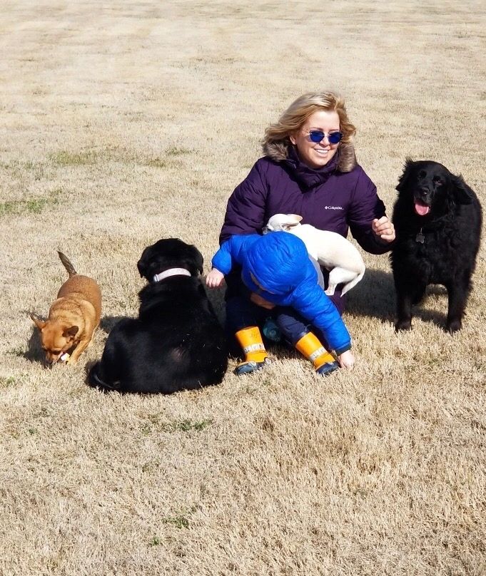 Customized Dog Training at Home