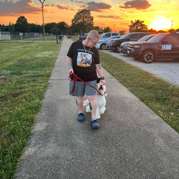 A puppywalking in the heel position by its handler at a park at sunset.