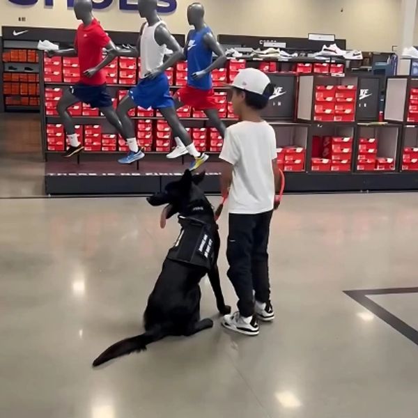 Young boy with his service dog at an Academy store for a private lesson