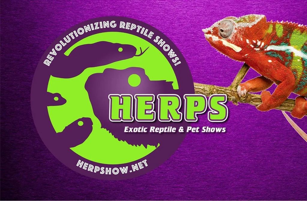 Colorful chameleon on a branch with Herps exotic reptile show logo.