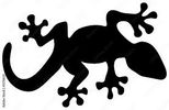 Iranian Leopard Gecko