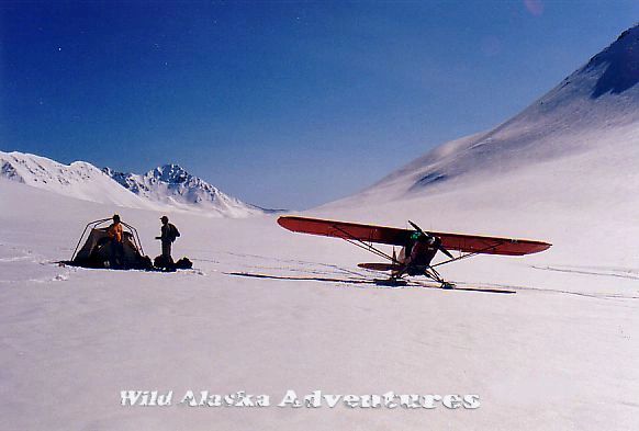 Wild Alaska Adventures Alaska hunting