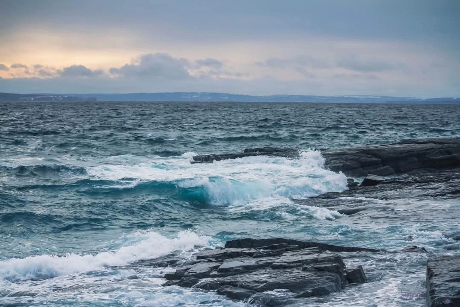 ©Sweet Spot Photography