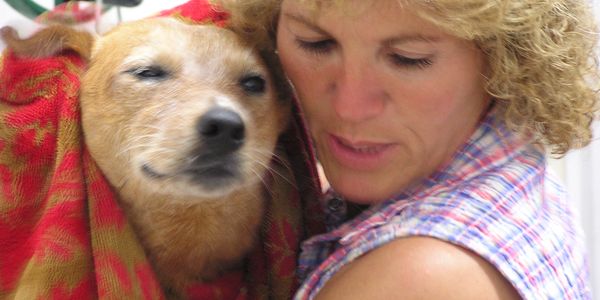 Compassionate caring technician at Alpine Veterinary Service cares for a dog.  You can see the love between the two.  