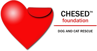 Chesed Foundation Rescue