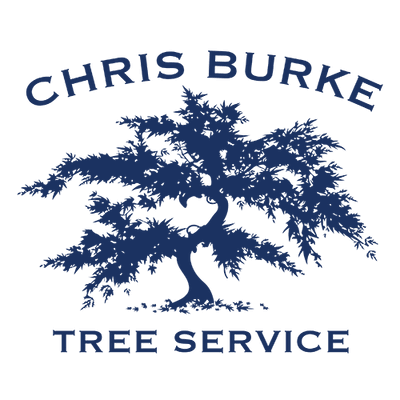CHRIS BURKE TREE SERVICE, LLC