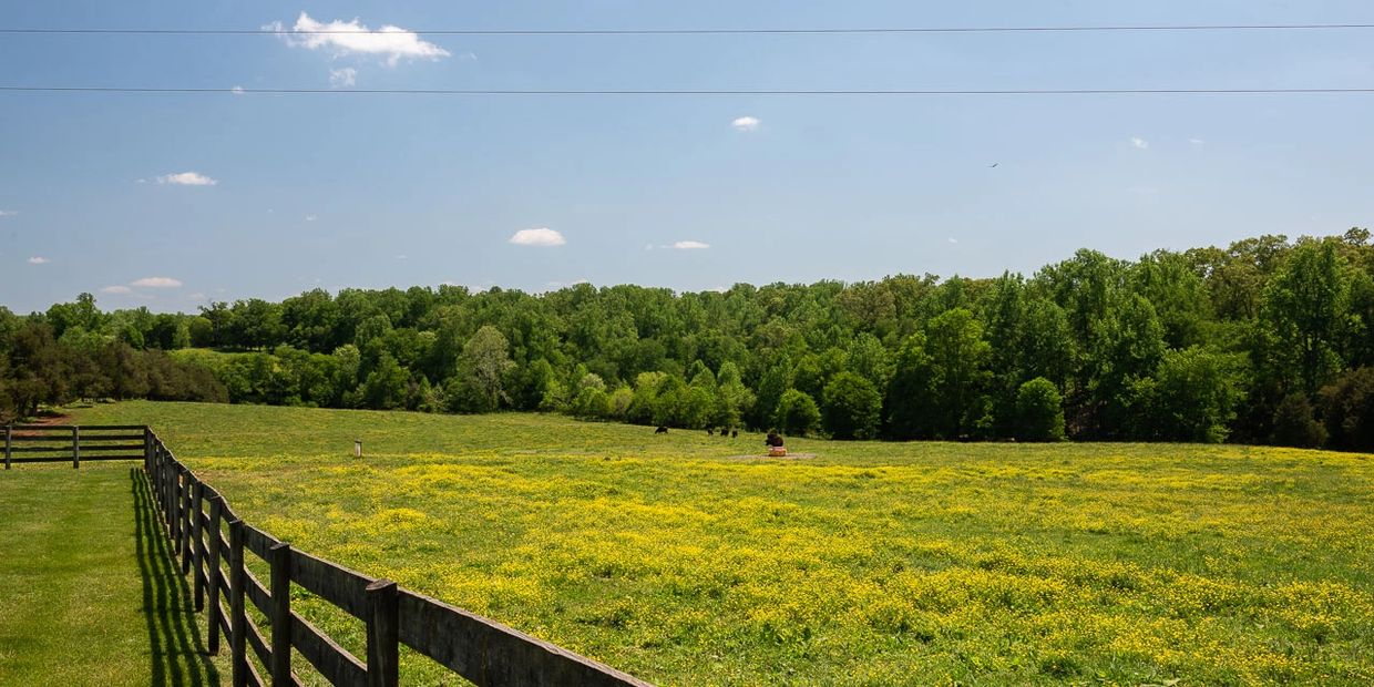 Edgemont farm pasture