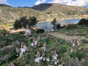 Datça Kargı Koyu antik karya yolu başlangıç noktası