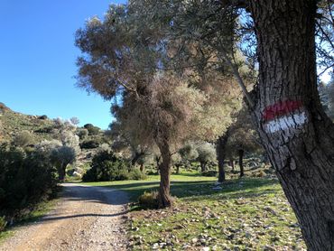 Antik Karya Yolu, Datça Kargı Koyu başlangıç noktası, Kırmızı/Beyaz karya yolu yön işaretleri
