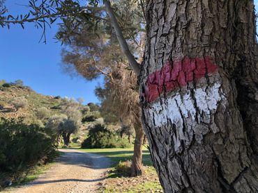 Datça Kargı Koyu Kırmızı/Beyaz karya yolu yön işaretleri