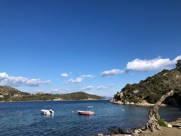 Kargı Koyu plajı