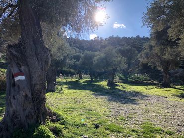 Datça Kargı Koyu antik karya yolu başlangıç noktası