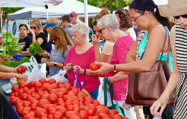 People selecting tomatoes at a busy outdoor market stand.