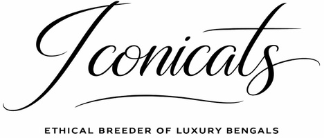 Iconicats