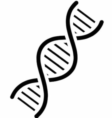 Simple black and white DNA double helix icon.