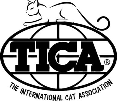 Logo of The International Cat Association with a cat silhouette on a globe.