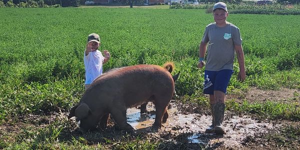 Two children playing with a pig in a muddy farm field.