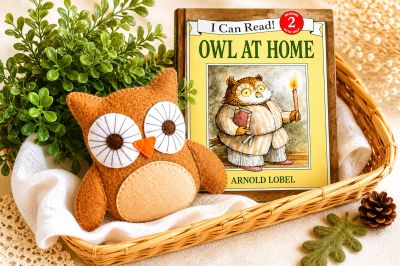 Owl-themed children's book with owl plush in a basket.