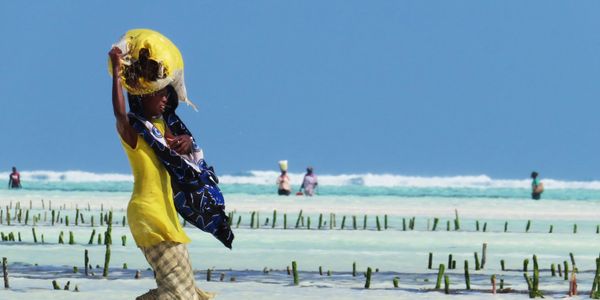 I have had the blessed privilege to travel and document with my camera over 80 Countries, 100’s of c