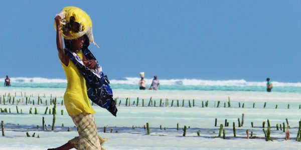 I have had the blessed privilege to travel and document with my camera over 80 Countries, 100’s of c