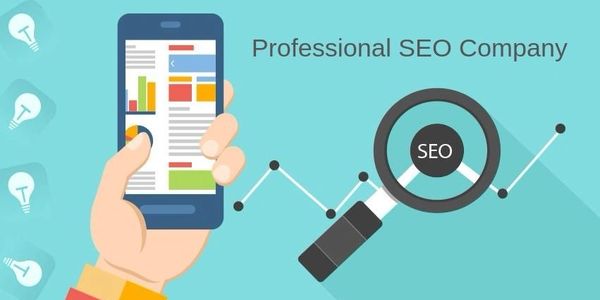 Professional SEO Services