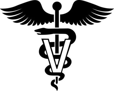 Vet Doctors 