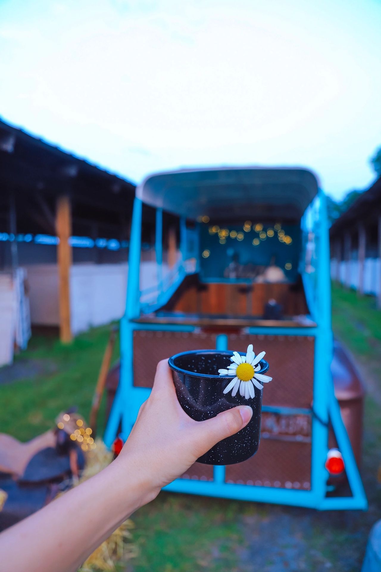 Mobile Bar, 1950's Vintage Horse Trailer Remade Mobile Bar – Affinity Event  Rentals LLC