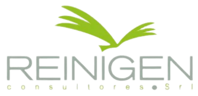 reinigenconsultores.com