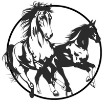 Currituck County NC 
Race on the Runway
