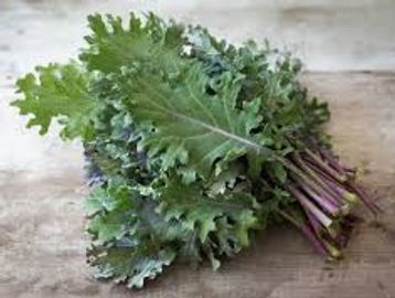 fresh organic kale