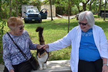 Two senior women smile and pet a cat during senior socializing recreation