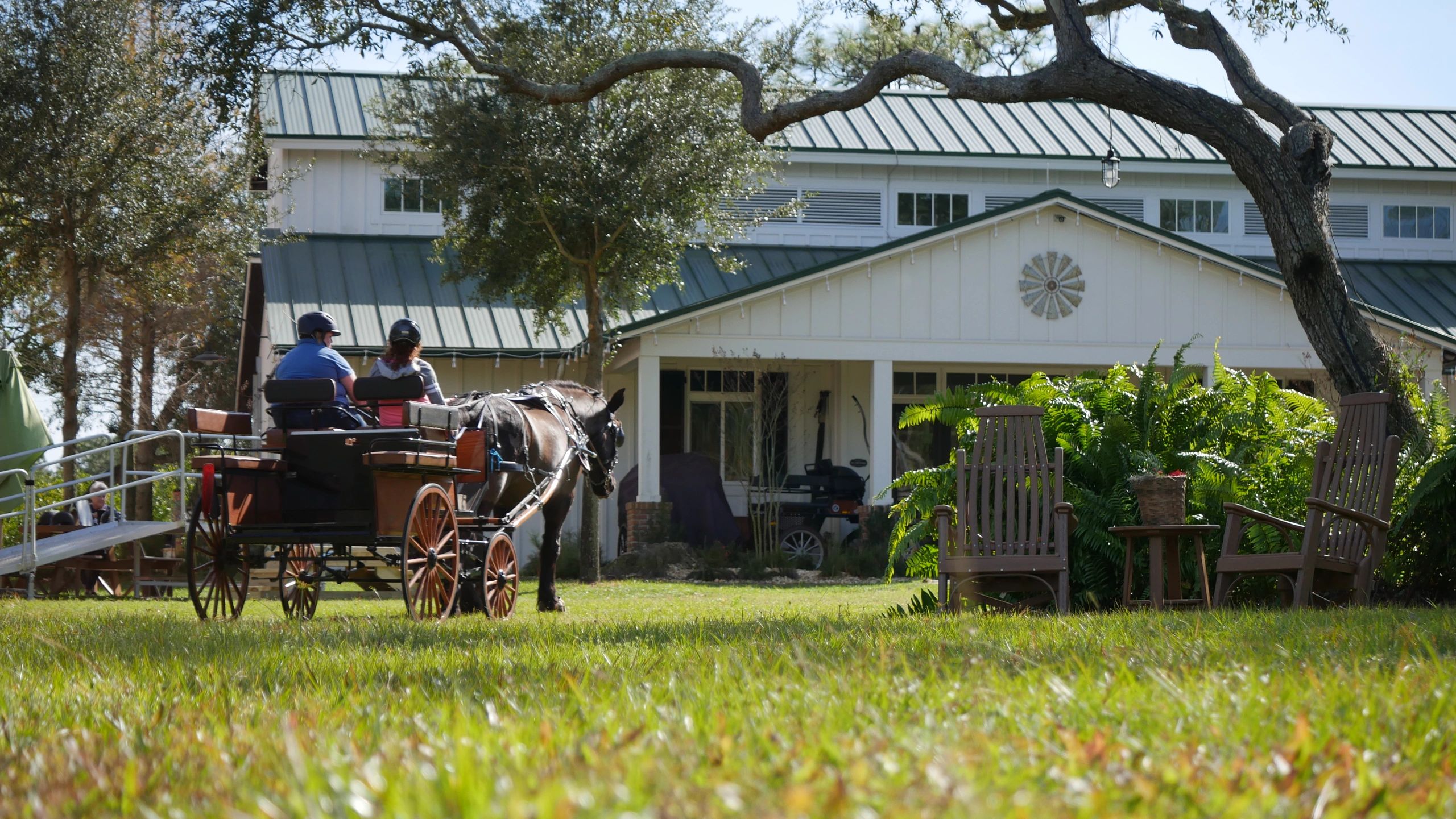 Inspire Equine Therapy Program