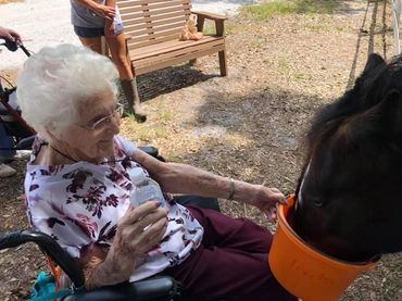Senior woman feeds a horse from a bucket during equine therapy for seniors