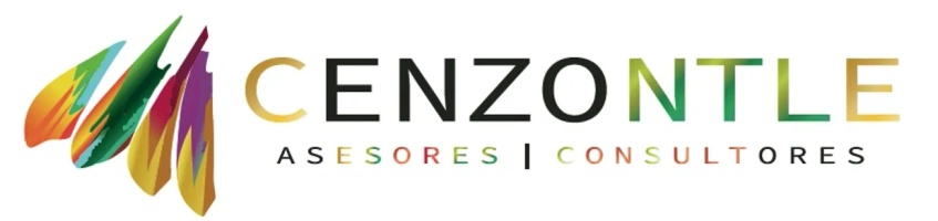 Asesores Cenzontle