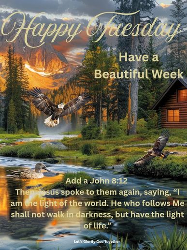 Bible verse edited in a  wild life image 