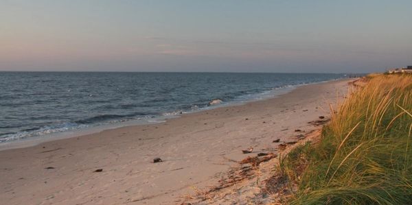 A calm beach with grass and gentle waves.