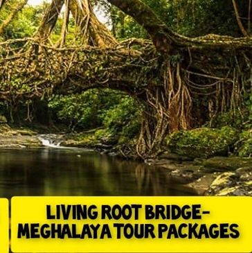 Living Root Bridge in Meghalaya.