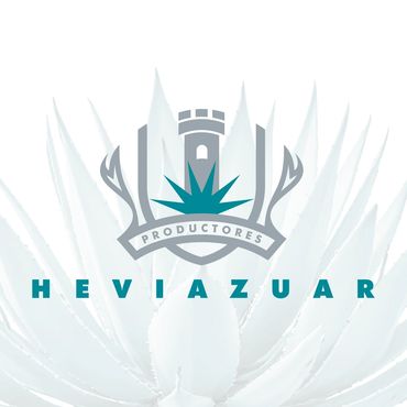 Branding HEVIAZUAR Mezcal de Oaxaca.
Representa un agave sobre un escudo de heráldica familiar, trad
