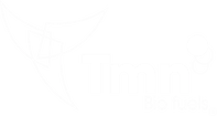 TMN BIO FUEL PRIVATE LIMITED