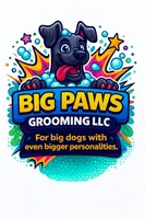 Big Paws Grooming