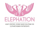 Elephation