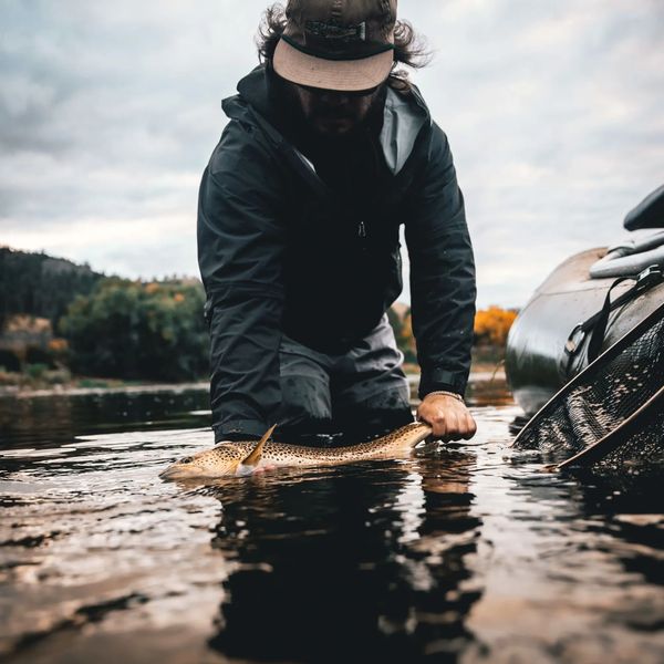 Fly fishing, brown trout, Missouri river, Craig Montana, streamer 