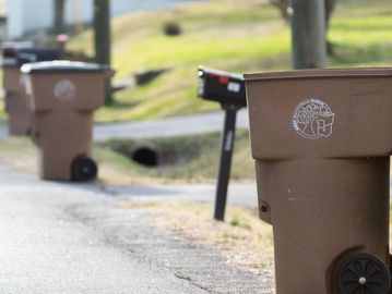 Brown trash bins lined up outdoors near a road.