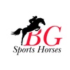 BG Sports Horses