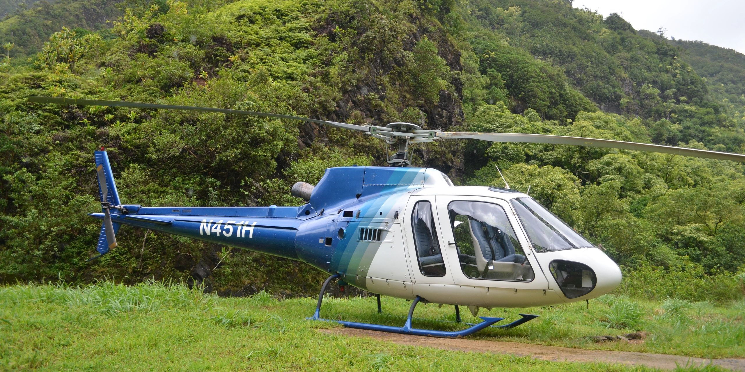 helicopter in jungle setting