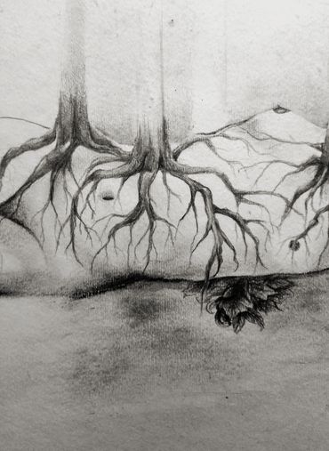 Figure Study, 2008. Graphite and charcoal on paper.