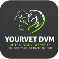 YourvetDVM Veterinary Services